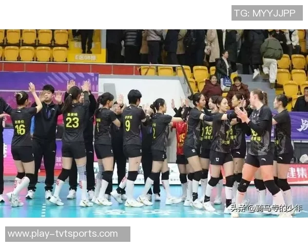 女排全锦赛精彩对决浙江女排迎战辽宁女排争夺冠军荣耀 女排全锦赛精彩对决浙江女排迎战辽宁女排争夺冠军荣耀